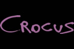 Logotipo Crocus